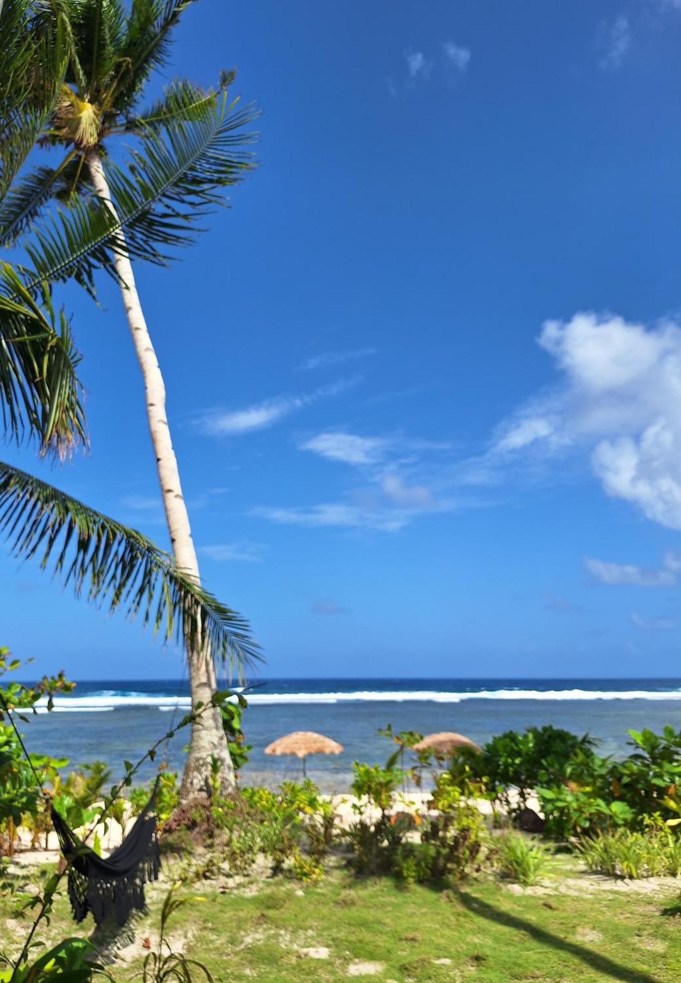 Bamboo Surf Beach San Isidro  Exteriér fotografie