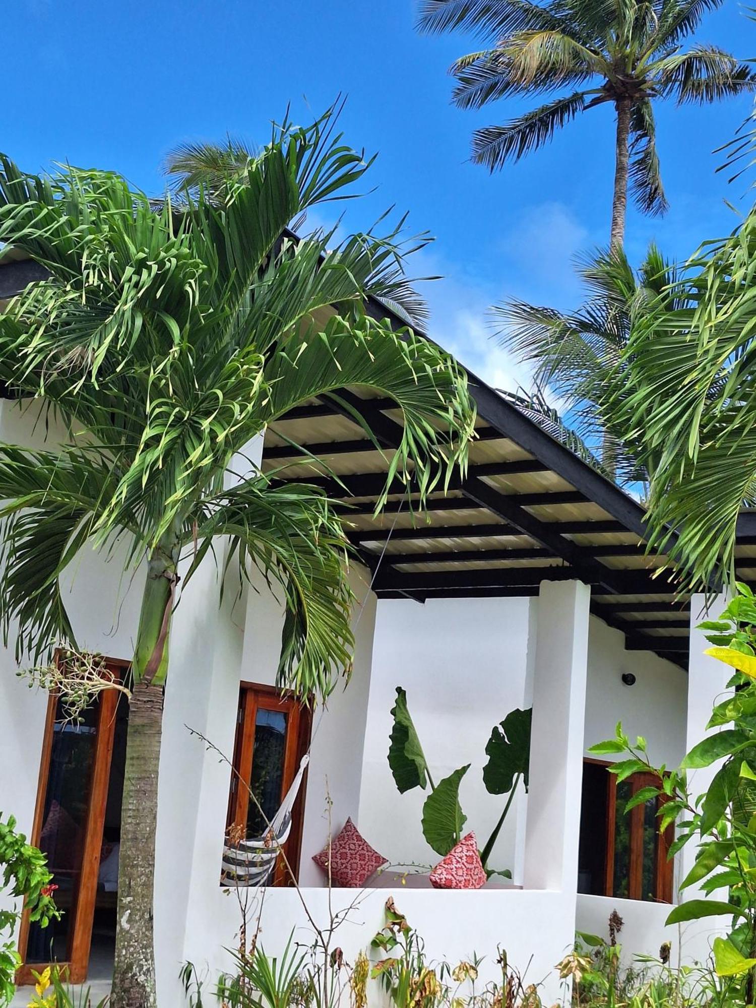 Bamboo Surf Beach San Isidro  Exteriér fotografie